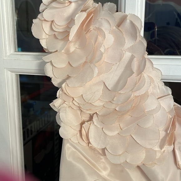 Beautiful Vintage Rickie Freeman Teri Jon gown 100% silk pale pink size 12 - Picture 2 of 6